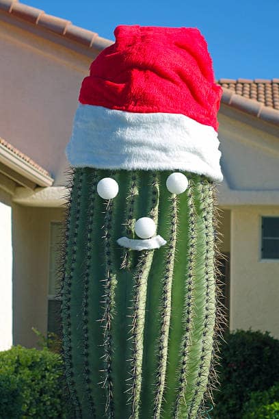 Arizona Christmas​